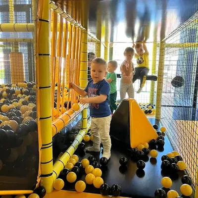 Dzikie Pląsy - Osowa